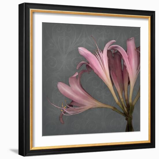 From My Garden 4-Gray-Julie Greenwood-Framed Art Print