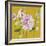 From My Garden - Aquilegia-Charlotte Hardy-Framed Giclee Print