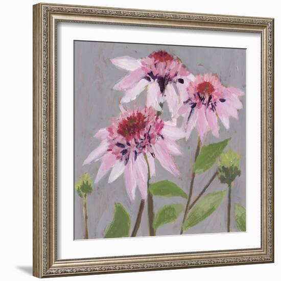 From My Garden - Echinacea-Charlotte Hardy-Framed Giclee Print