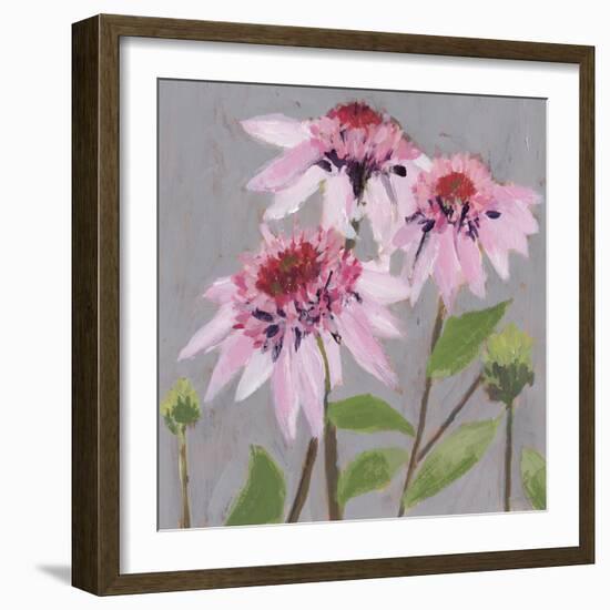 From My Garden - Echinacea-Charlotte Hardy-Framed Giclee Print