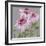 From My Garden - Echinacea-Charlotte Hardy-Framed Giclee Print