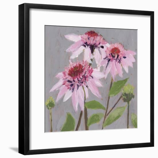 From My Garden - Echinacea-Charlotte Hardy-Framed Giclee Print