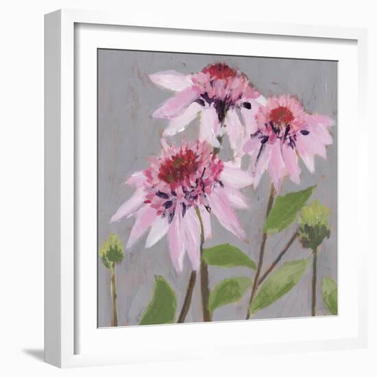 From My Garden - Echinacea-Charlotte Hardy-Framed Giclee Print