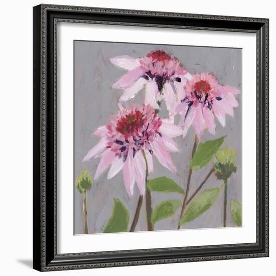 From My Garden - Echinacea-Charlotte Hardy-Framed Giclee Print