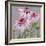 From My Garden - Echinacea-Charlotte Hardy-Framed Giclee Print