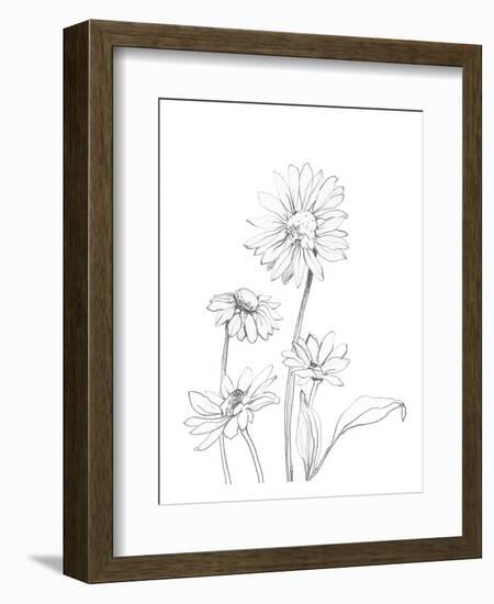 From My Garden - Focus-Sandra Jacobs-Framed Art Print