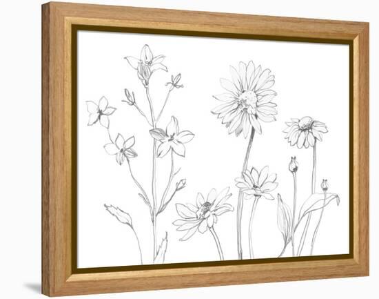 From My Garden I-Sandra Jacobs-Framed Stretched Canvas