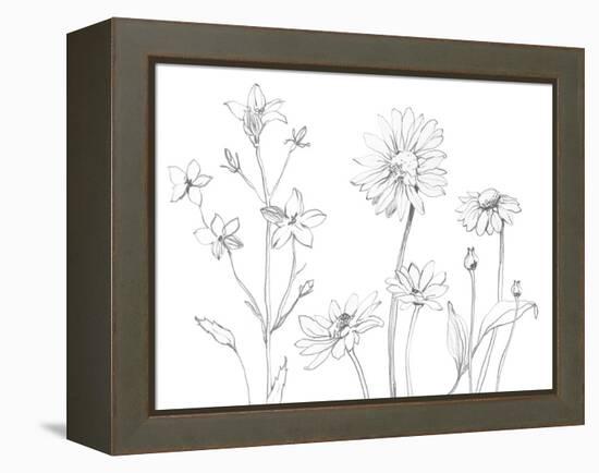 From My Garden I-Sandra Jacobs-Framed Stretched Canvas