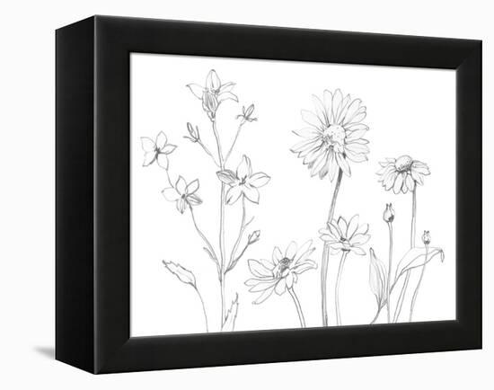 From My Garden I-Sandra Jacobs-Framed Stretched Canvas