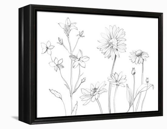 From My Garden I-Sandra Jacobs-Framed Stretched Canvas