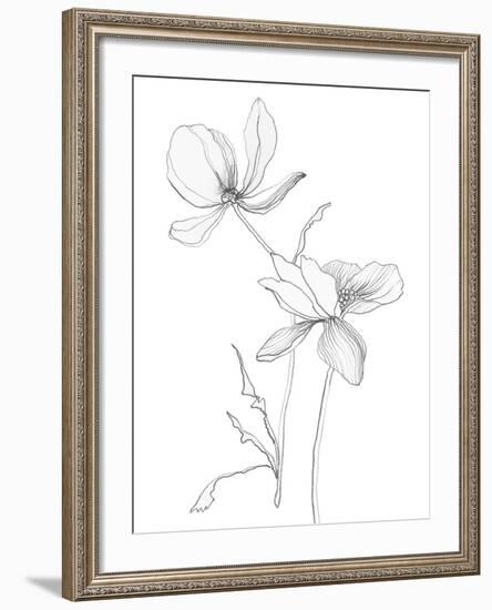 From My Garden II-Sandra Jacobs-Framed Giclee Print