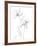 From My Garden II-Sandra Jacobs-Framed Giclee Print