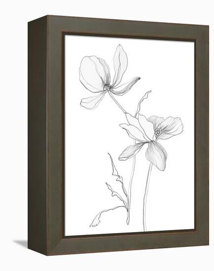 From My Garden II-Sandra Jacobs-Framed Stretched Canvas