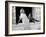 From Russia with Love, Daniela Bianchi, 1963-null-Framed Photo