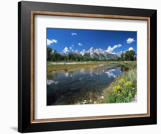 from Schwabacher's Landing Across the Snake River to the Teton Range, Grand Teton National Park-Ruth Tomlinson-Framed Photographic Print