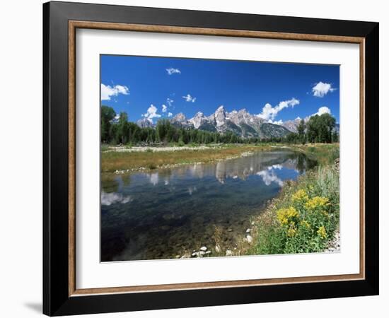 from Schwabacher's Landing Across the Snake River to the Teton Range, Grand Teton National Park-Ruth Tomlinson-Framed Photographic Print