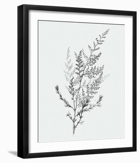 From the Forest-Maria Mendez-Framed Giclee Print