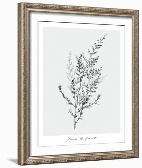 From the Forest-Maria Mendez-Framed Giclee Print