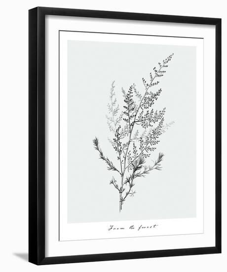 From the Forest-Maria Mendez-Framed Giclee Print