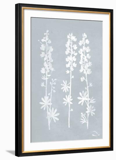 From the Garden II-Max Carter-Framed Giclee Print