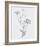 From the Meadow-Maria Mendez-Framed Giclee Print