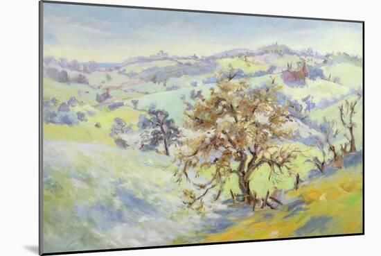 From Udimore Towards Peasmarch, Sussex, in Winter-Anne Durham-Mounted Giclee Print