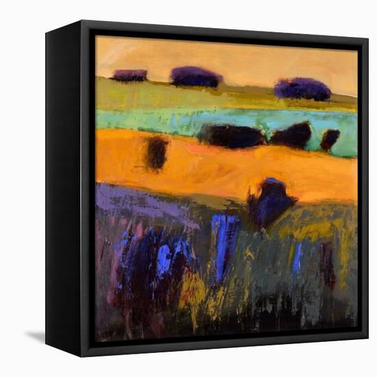 From What I Imagined-Jane Schmidt-Framed Stretched Canvas