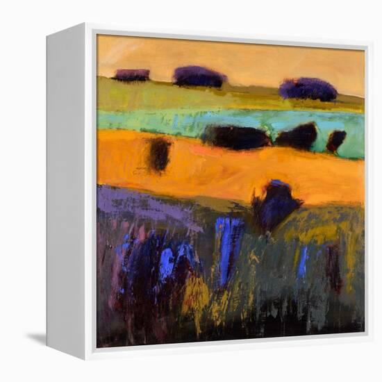 From What I Imagined-Jane Schmidt-Framed Stretched Canvas