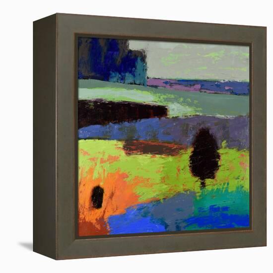 From What I Know-Jane Schmidt-Framed Stretched Canvas