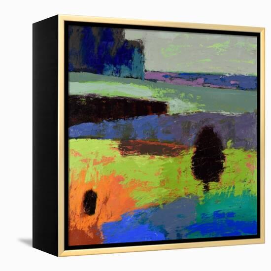 From What I Know-Jane Schmidt-Framed Stretched Canvas