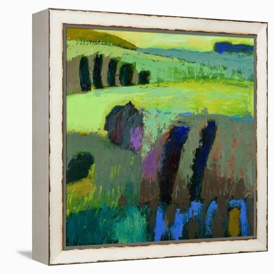 From What I Thought-Jane Schmidt-Framed Stretched Canvas