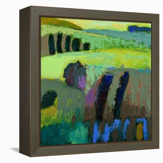 From What I Thought-Jane Schmidt-Framed Stretched Canvas