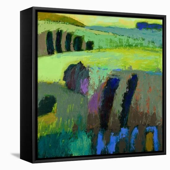 From What I Thought-Jane Schmidt-Framed Stretched Canvas