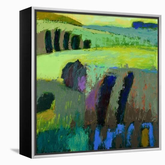 From What I Thought-Jane Schmidt-Framed Stretched Canvas