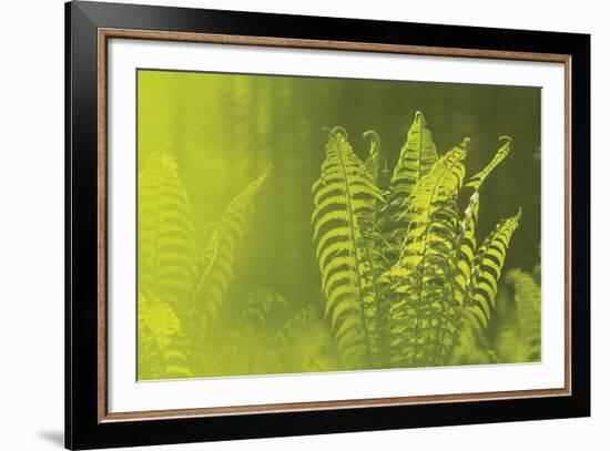 Frond Cluster-Staffan Widstrand-Framed Giclee Print