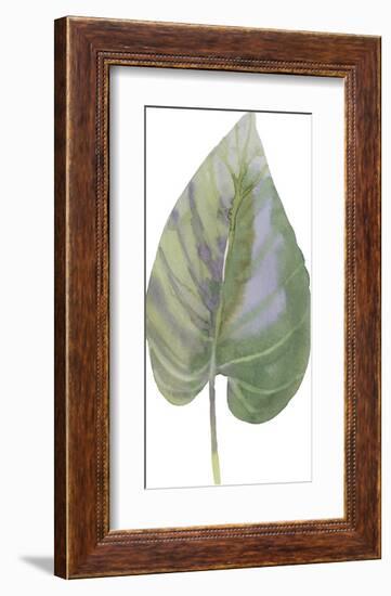 Frond I-Sandra Jacobs-Framed Giclee Print