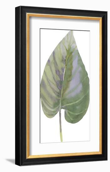 Frond I-Sandra Jacobs-Framed Giclee Print