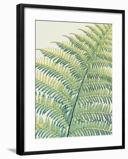 Frond II-Ella Lancaster-Framed Giclee Print