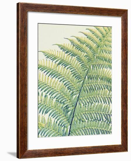 Frond II-Ella Lancaster-Framed Giclee Print