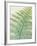 Frond II-Ella Lancaster-Framed Giclee Print