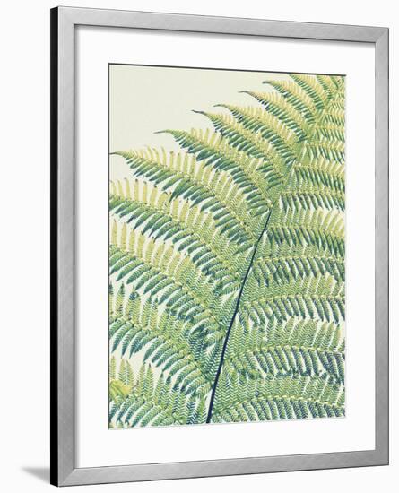 Frond II-Ella Lancaster-Framed Giclee Print