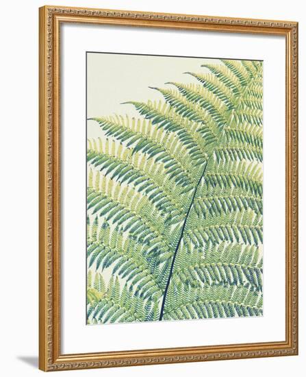 Frond II-Ella Lancaster-Framed Giclee Print