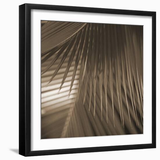 Frond Melody I-Tony Koukos-Framed Giclee Print