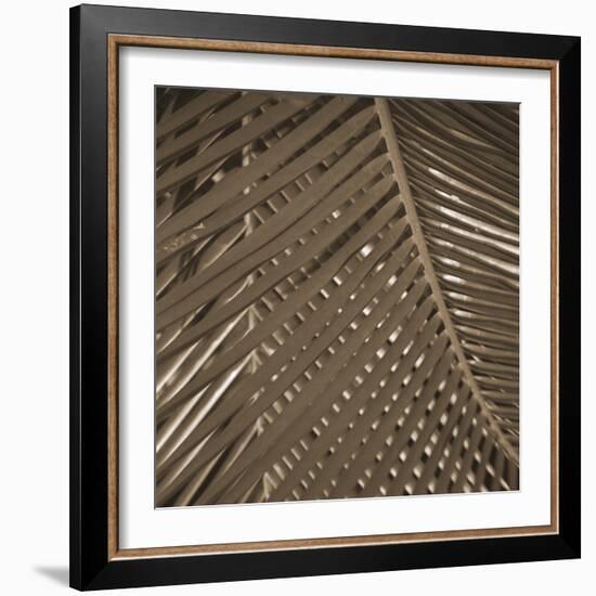 Frond Melody III-Tony Koukos-Framed Giclee Print