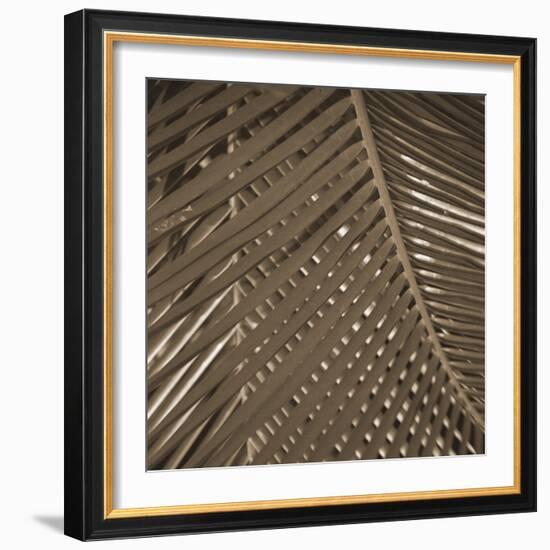 Frond Melody III-Tony Koukos-Framed Giclee Print