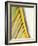 Frond Study I-Emily Robinson-Framed Photographic Print