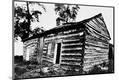 Photographic Print