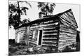 Photographic Print