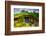 Front Door of a Hobbit House, Hobbiton, North Island, New Zealand, Pacific-Laura Grier-Framed Photographic Print