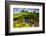 Front Door of a Hobbit House, Hobbiton, North Island, New Zealand, Pacific-Laura Grier-Framed Photographic Print